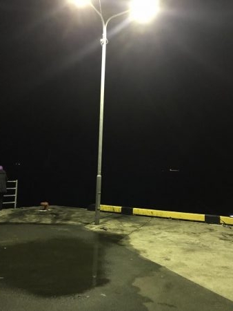 今夜もコウイカ釣り