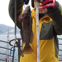 いきなりのアイナメ２３．５㎝