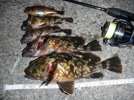 良い引きでした