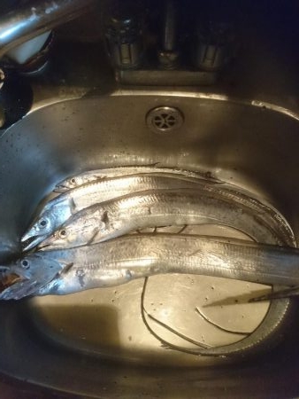 居残りタッチー