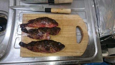 釣り初め