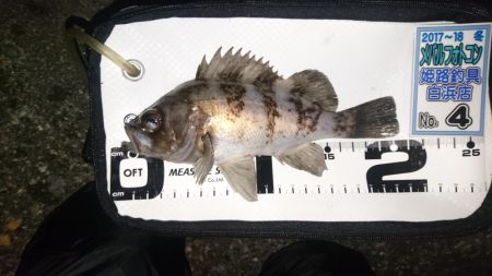 短時間メバリング