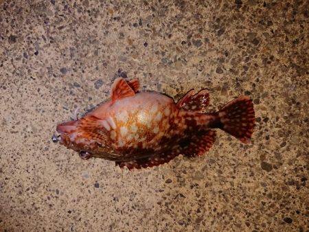 越前海岸ランガン