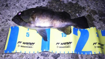 年間最も厳しい時期！