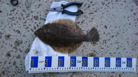 初釣り、カレイ釣り