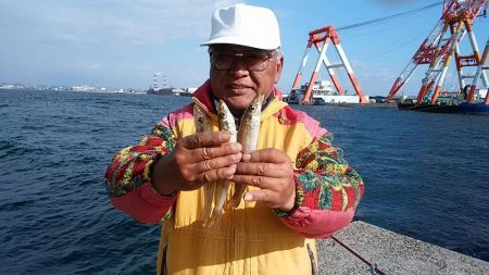 初釣行も播磨新島へ