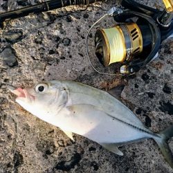 暴風の夕マズメにオニヒラアジ メタルマルでも釣れた