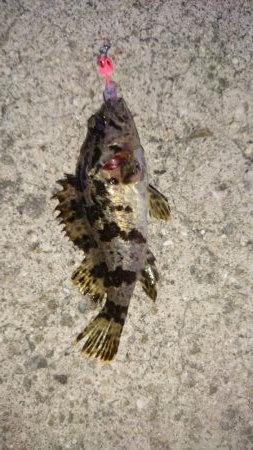 サイズが小さい