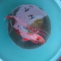 ジギング初め！