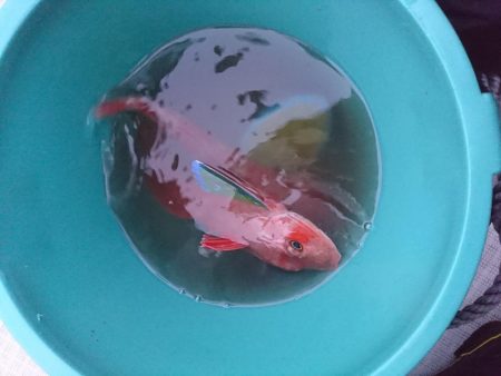 ジギング初め！