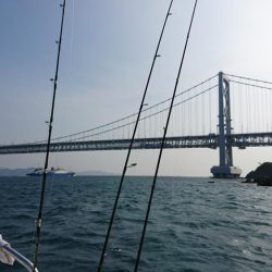 鳴門ジギング釣行