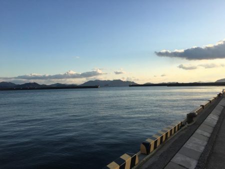 メバルシーズン