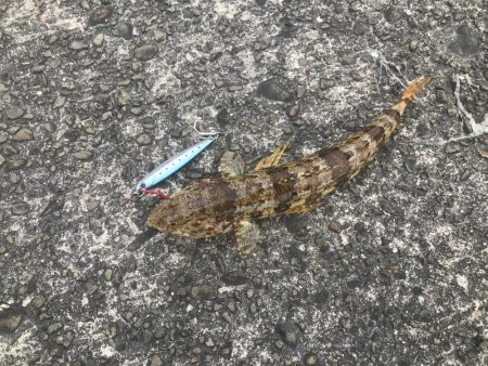 明けましておめでとうございます！