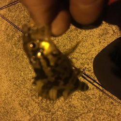 今日は、楽しかった！