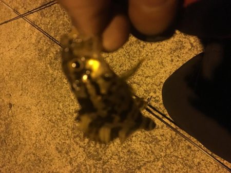 今日は、楽しかった！