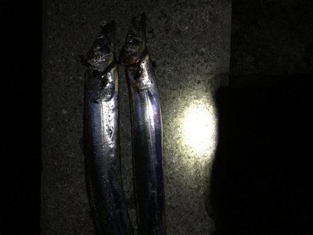 タッチー君、いました。