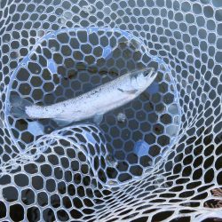 久しぶりの開成釣行は爆釣！