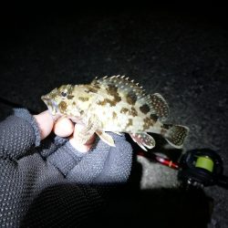 かもめ大橋＆フェリーターミナル