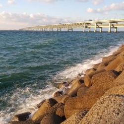 爆風メバリング