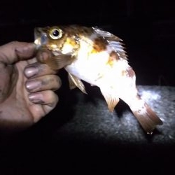 ライトゲームランガン