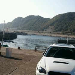 天気がよくてあまり寒く無さそうだったので