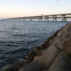 激渋メバリング！