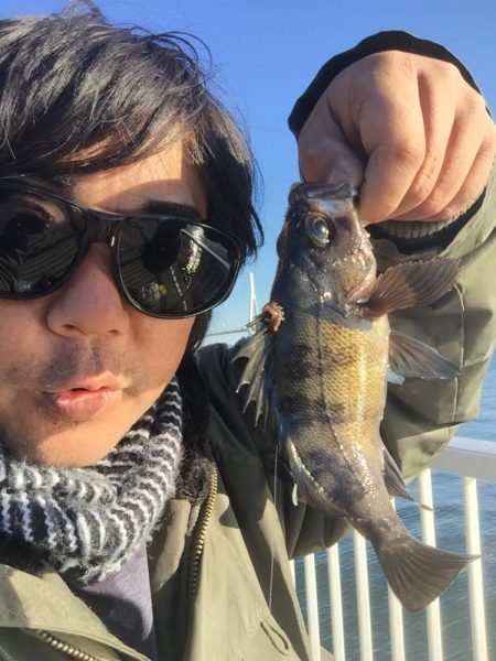 ふれーゆ裏の釣り場へ行ってきました。