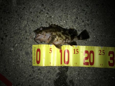 ちび穴子ばっかり