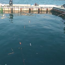 カタタの釣りで初釣り