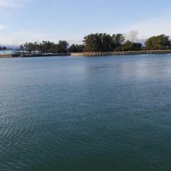 過去最高アベレージ