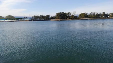 過去最高アベレージ