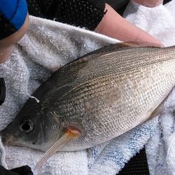 満足の釣り納め