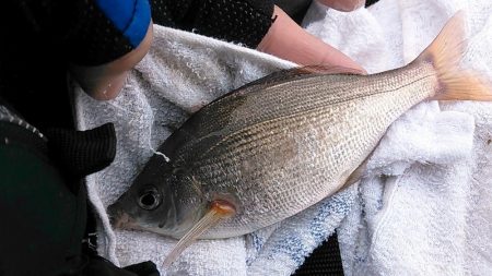 満足の釣り納め