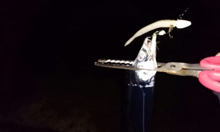 ◯やっとフィッシュオン