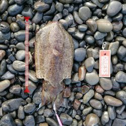 初釣りは撃沈！