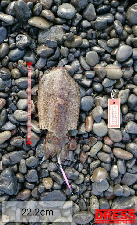 初釣りは撃沈！