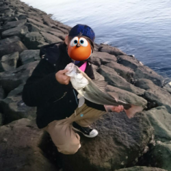 シーバスちゃん(*´ω`*)