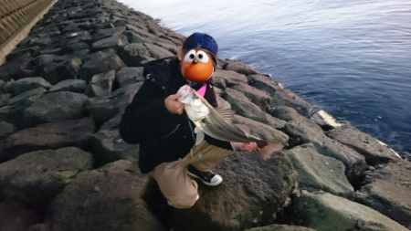 シーバスちゃん(*´ω`*)