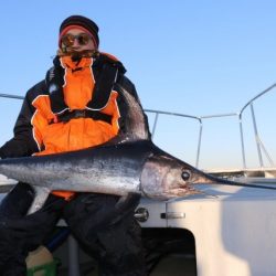 へいみつ丸 釣果
