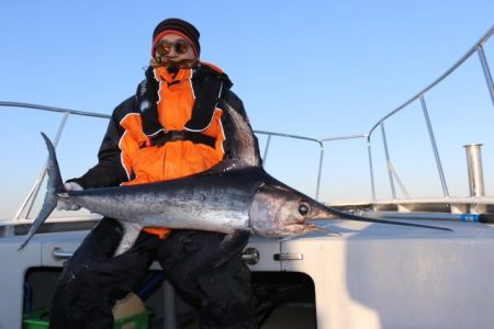 へいみつ丸 釣果