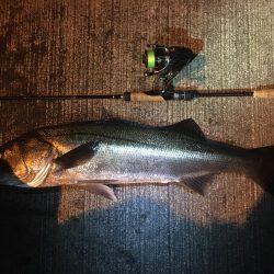 真冬パラダイス