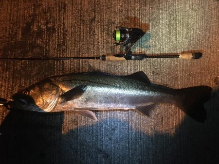 真冬パラダイス