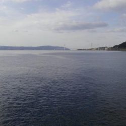 須磨海釣公園　新年初釣行