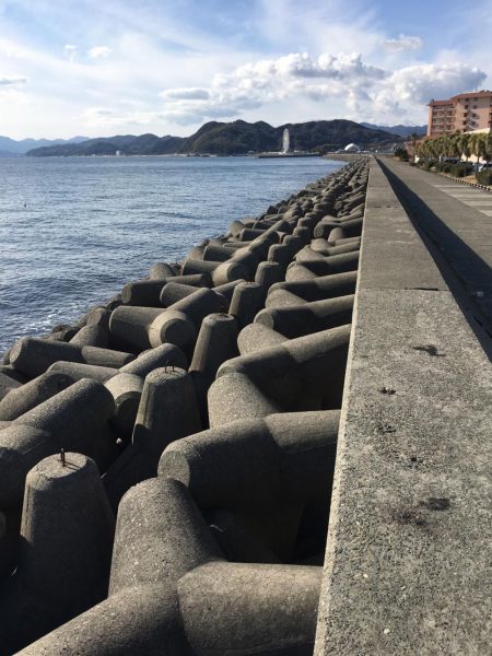 寒い中、ガシラ