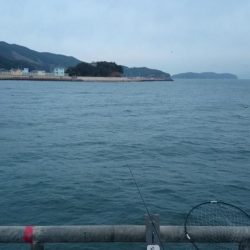 大物狙いのハズが…