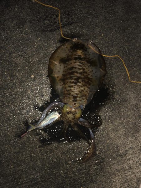 水温が低いので釣れたらいいけど！