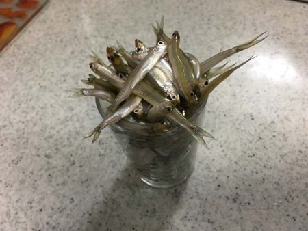 布目ダムで今年の初釣り