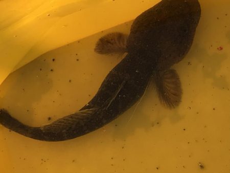 旧パナソニック跡裏のベランダにて