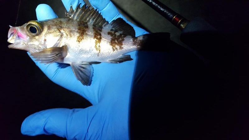 爆風とド干潮の中