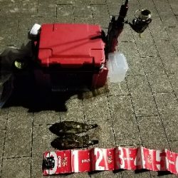 寒い中の短時間勝負！勝ちました